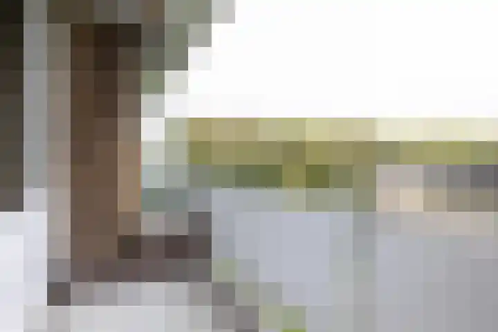 Kelloggplaats 278 Rotterdam thumbnail 10