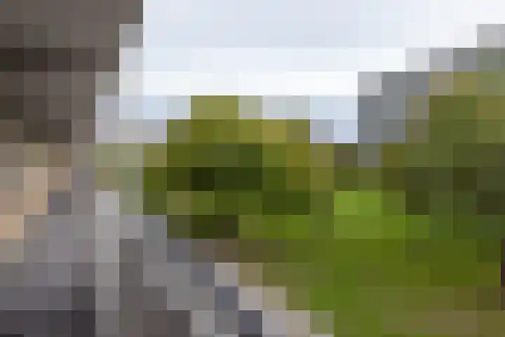 Kelloggplaats 278 Rotterdam thumbnail 21