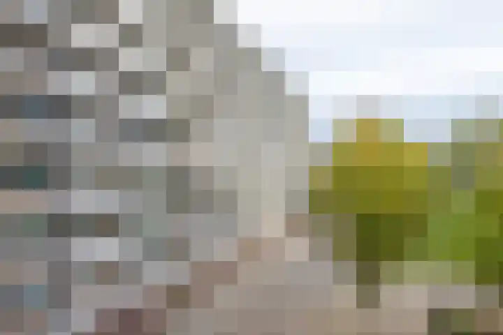Kelloggplaats 278 Rotterdam thumbnail 26
