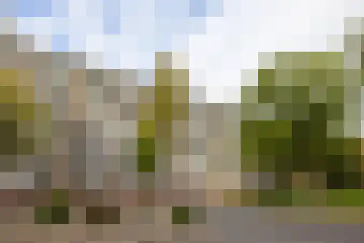 Kelloggplaats 278 Rotterdam thumbnail 5