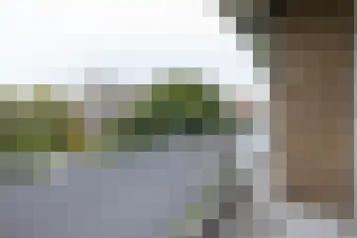 Kelloggplaats 278 Rotterdam thumbnail 9