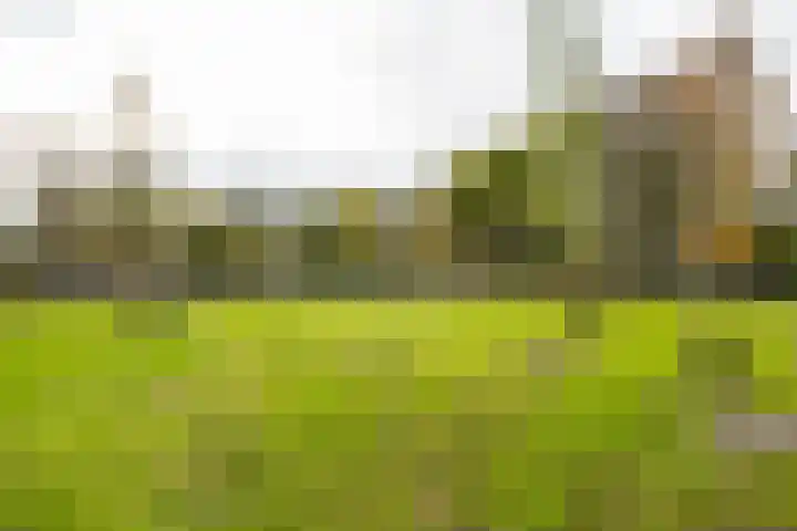 Kelloggplaats 294 Rotterdam thumbnail 35