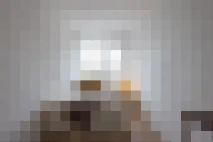 Kelloggplaats 294 Rotterdam thumbnail 40