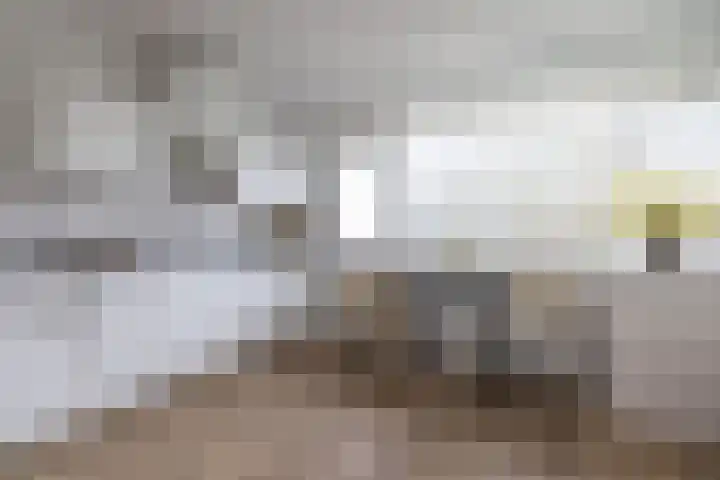 Kelloggplaats 294 Rotterdam thumbnail 43
