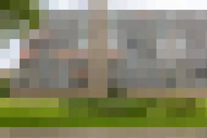 Kelloggplaats 294 Rotterdam thumbnail 46