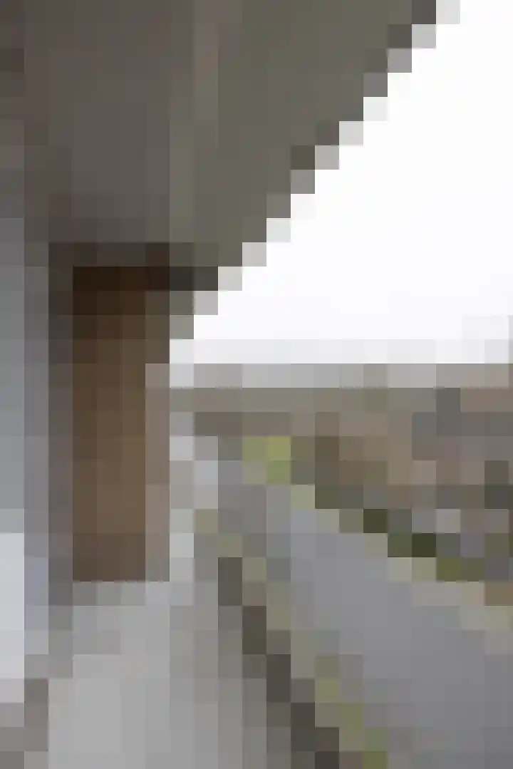 Kelloggplaats 294 Rotterdam thumbnail 7