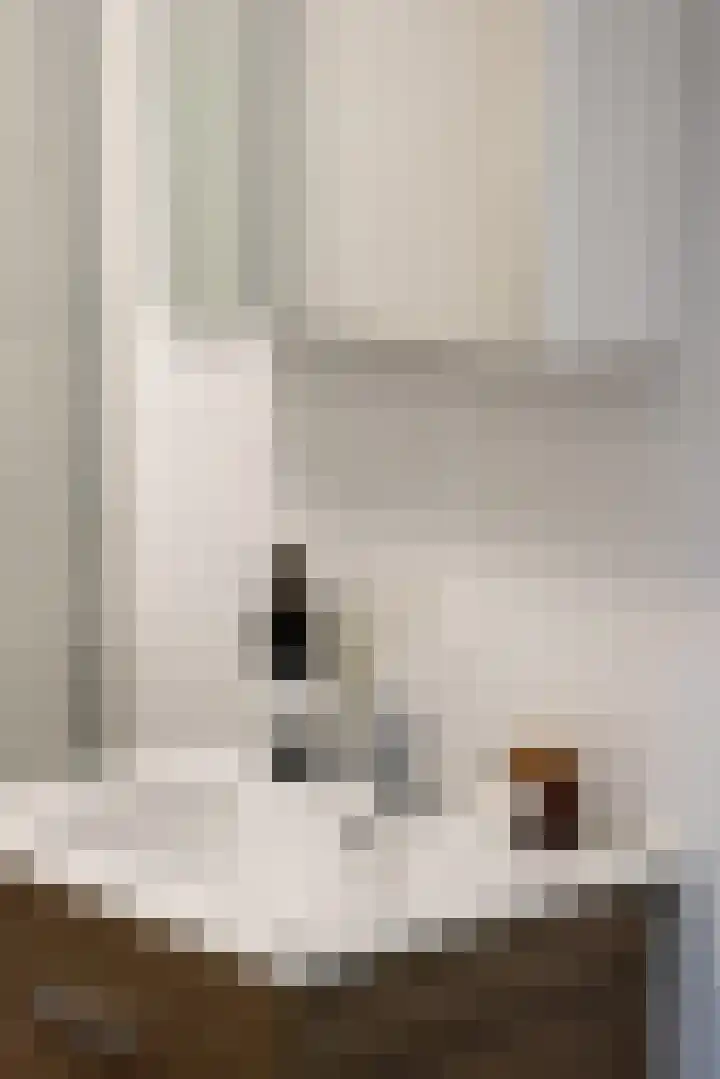 Kelloggplaats 294 Rotterdam thumbnail 9