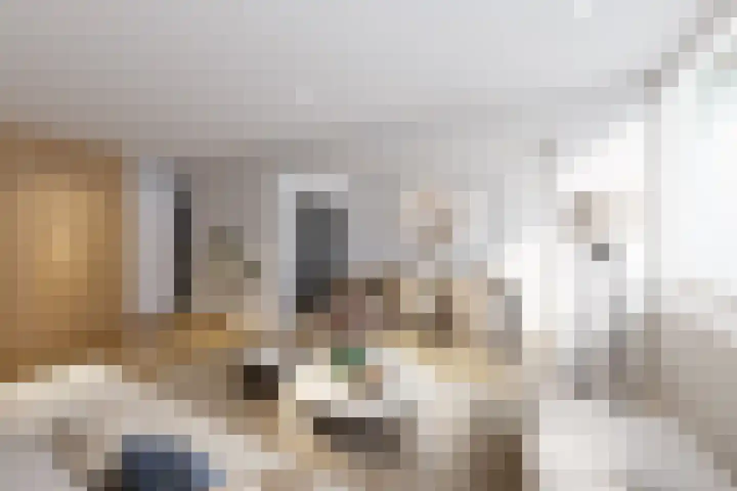 Kelloggplaats 302 in Rotterdam