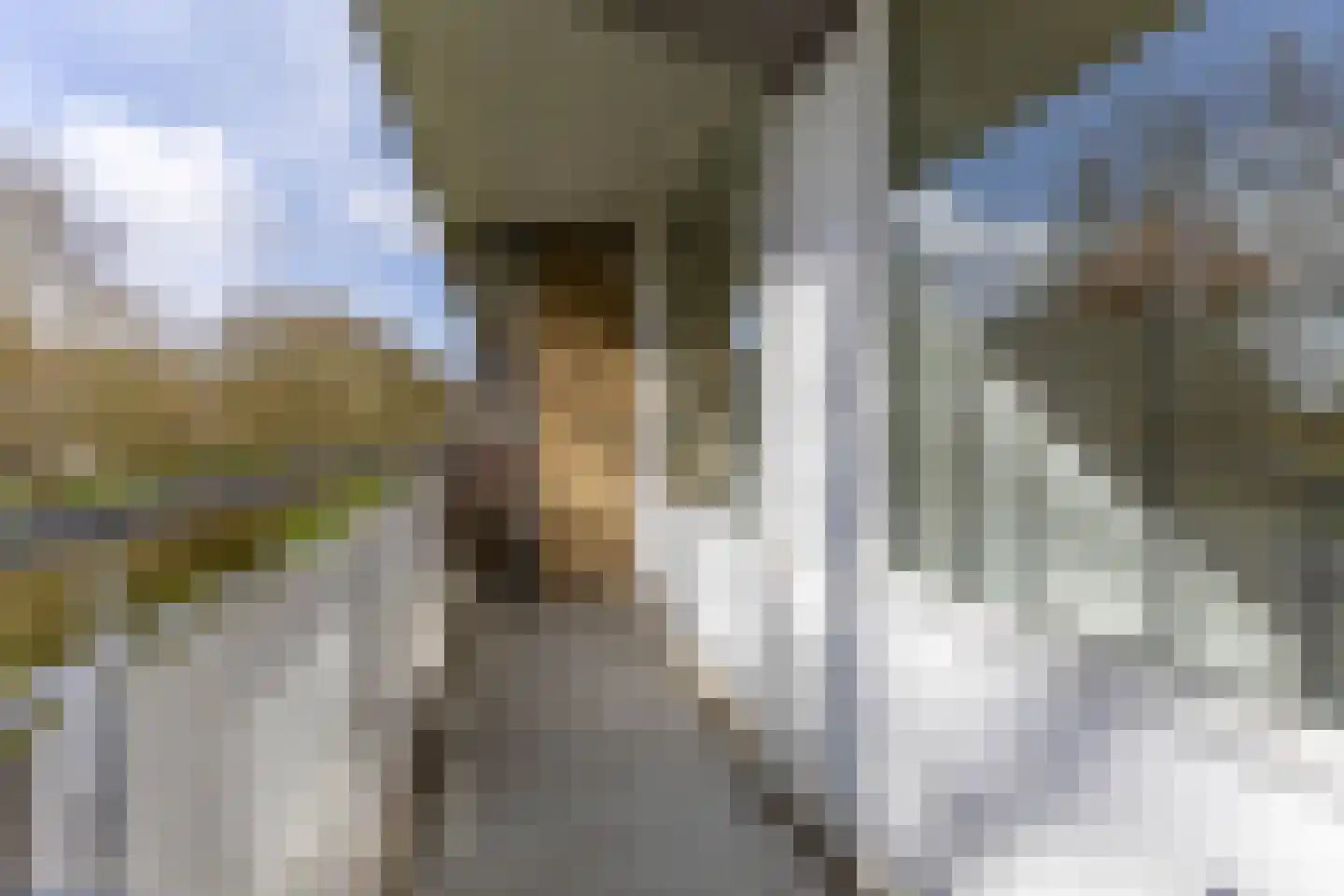 Kelloggplaats 36 Rotterdam thumbnail 11