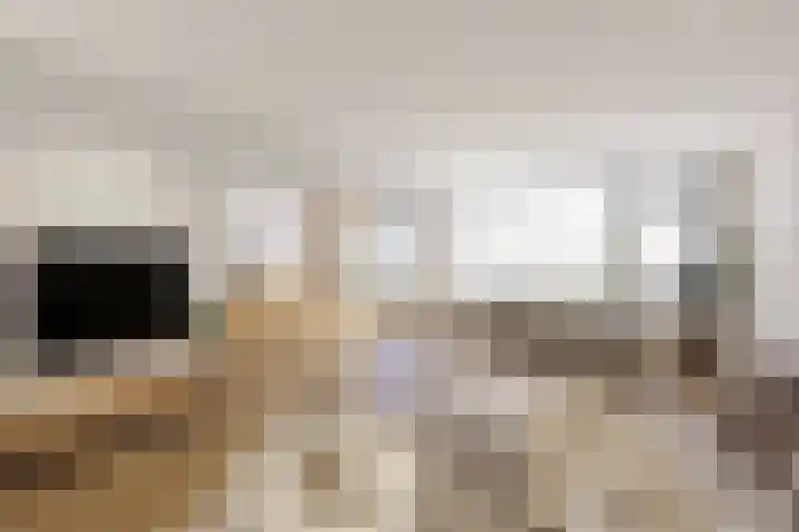 Kelloggplaats 86 in Rotterdam