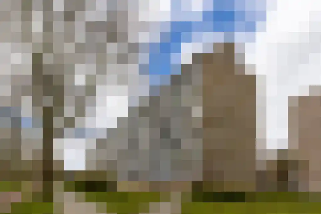 Kelloggplaats 94 Rotterdam thumbnail 5