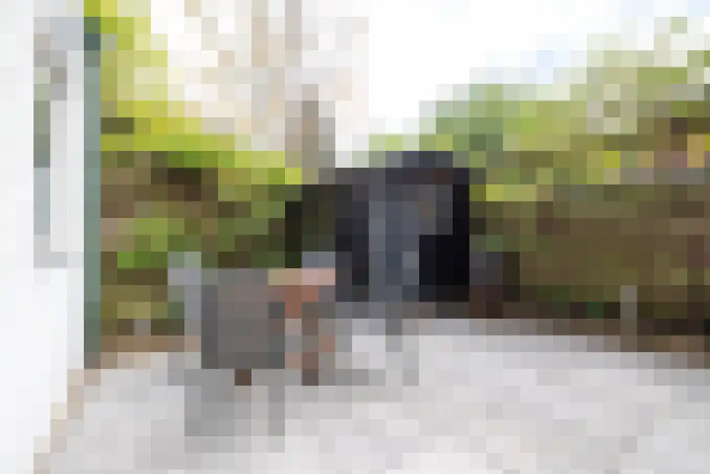 Keltenlaan 1 Apeldoorn thumbnail 14