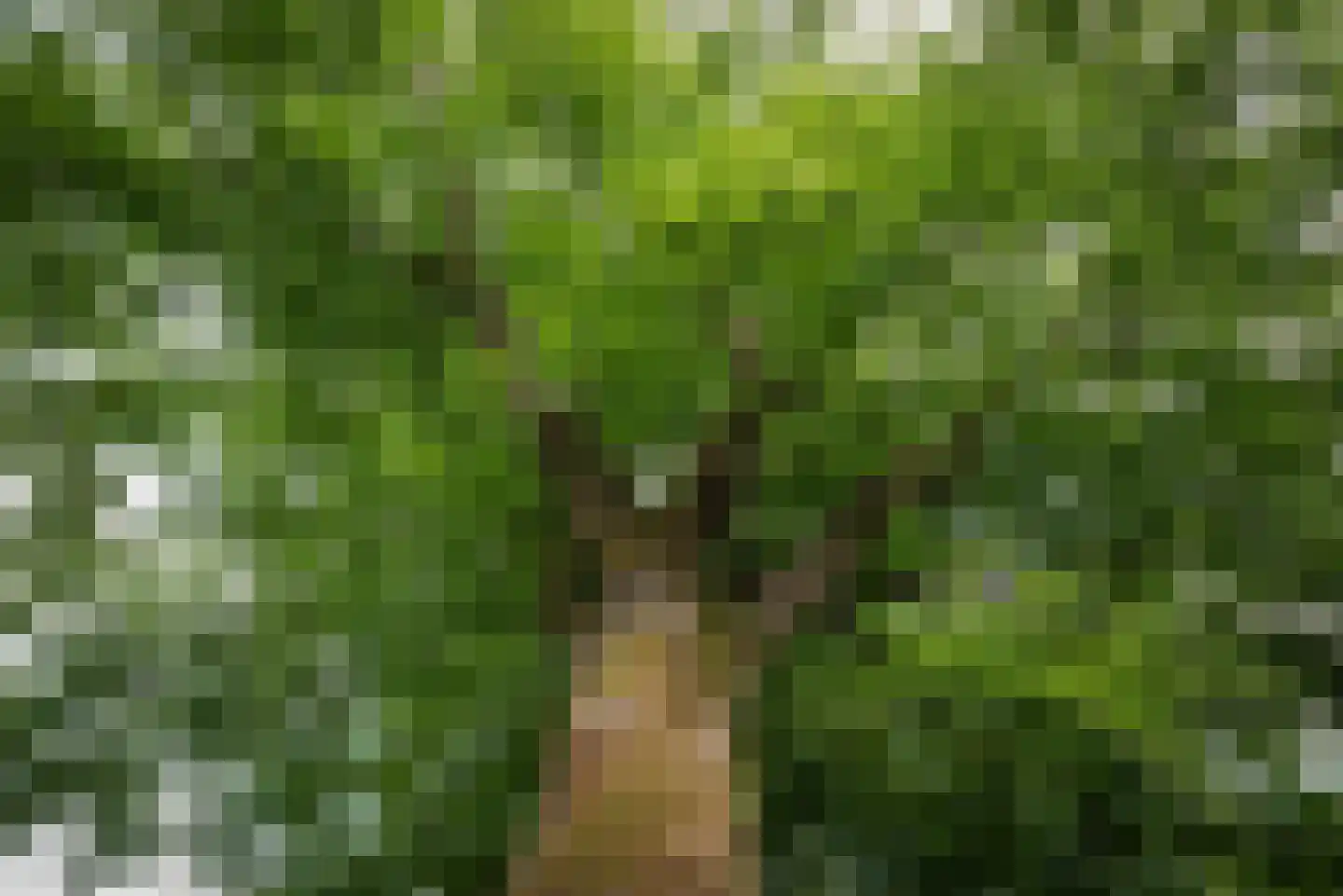 Keltenlaan 1 Apeldoorn thumbnail 32