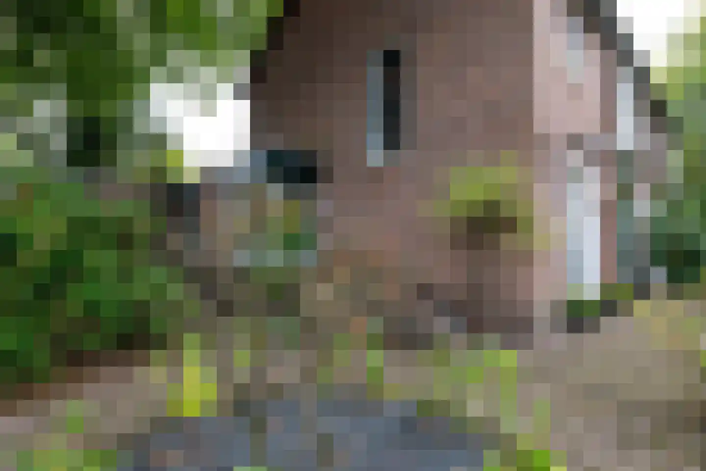 Keltenlaan 1 Apeldoorn thumbnail 33