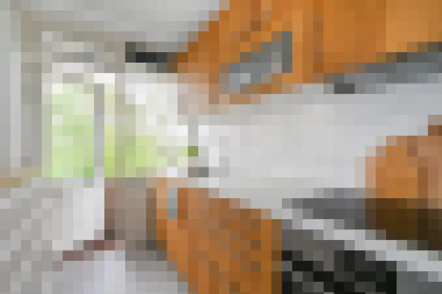 Keltenlaan 13 Voorburg thumbnail 11