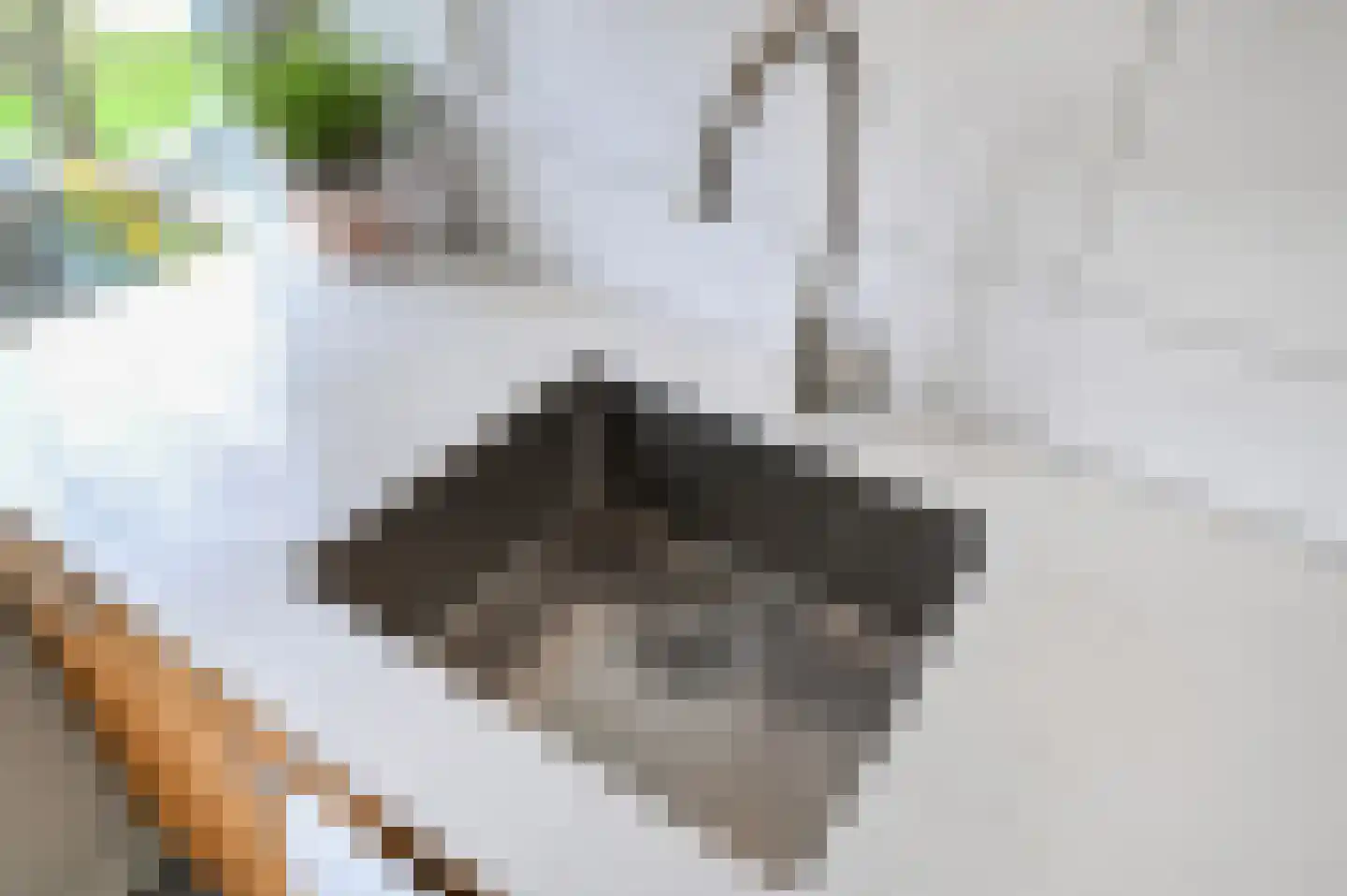 Keltenlaan 13 Voorburg thumbnail 13