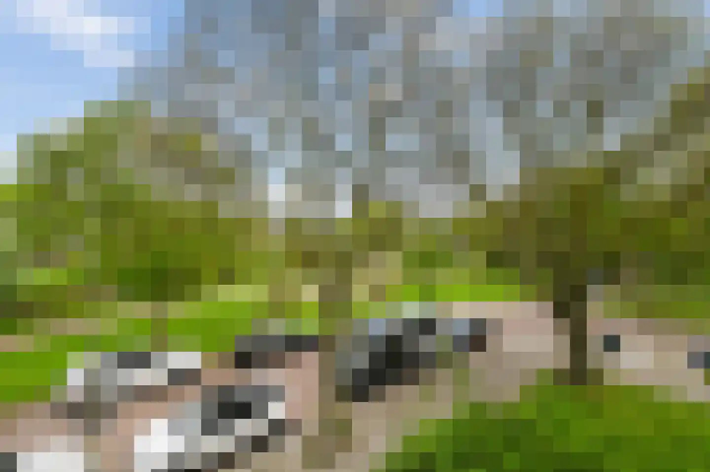 Keltenlaan 13 Voorburg thumbnail 16