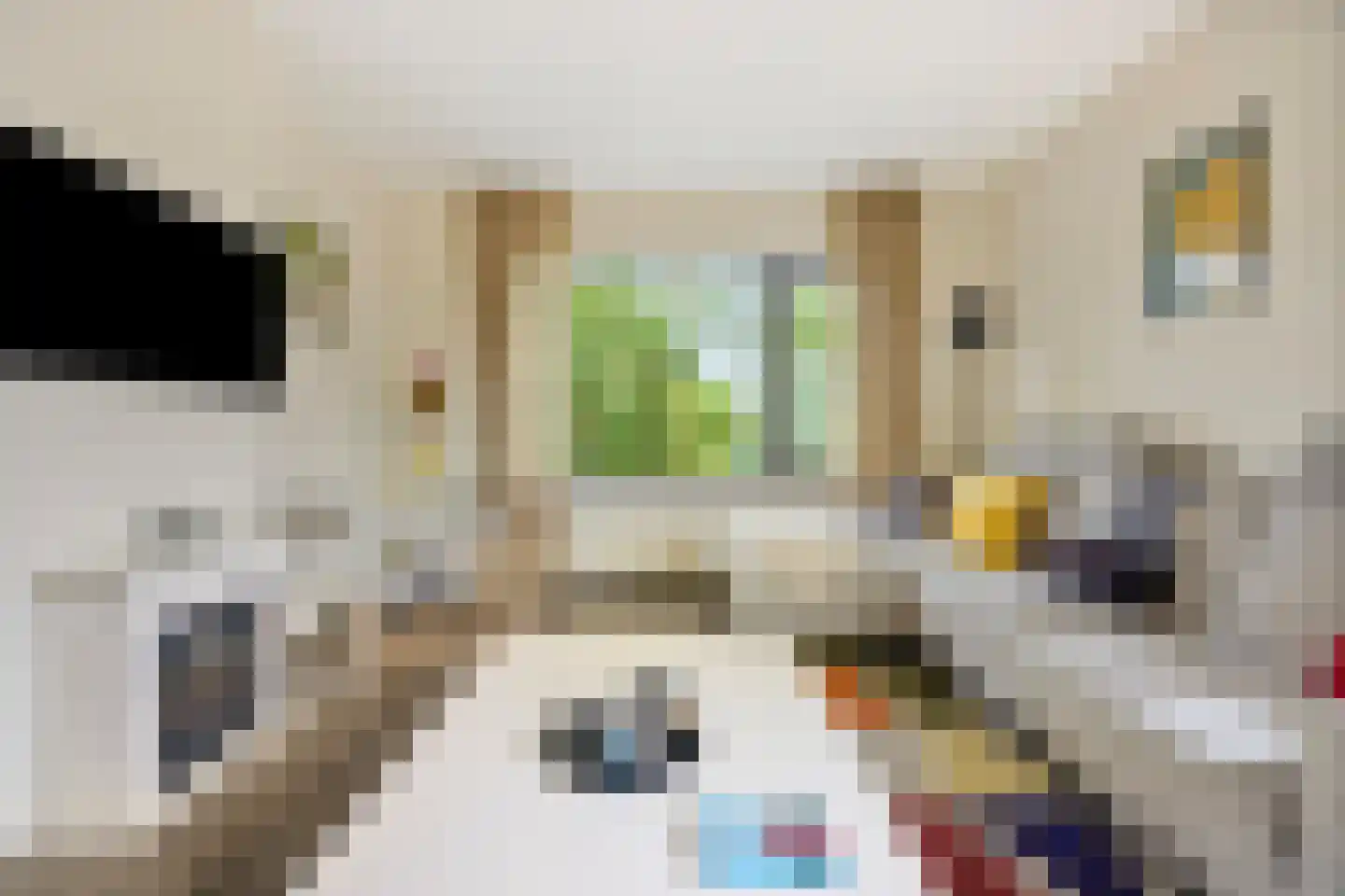 Keltenlaan 3 Voorburg thumbnail 4