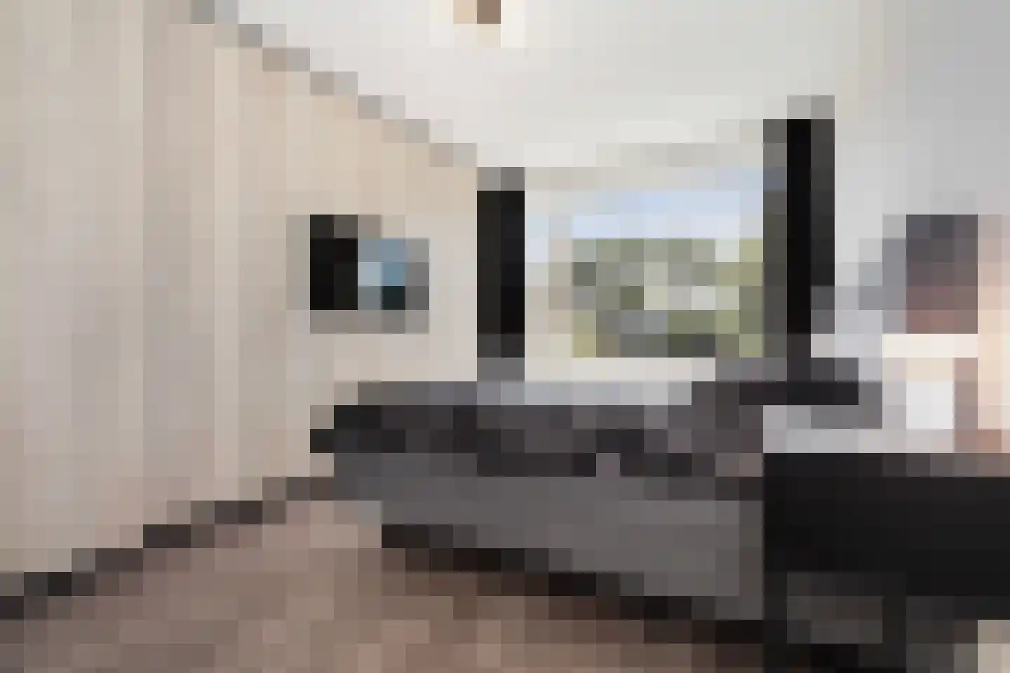 Keltenoord 10 Rotterdam thumbnail 19