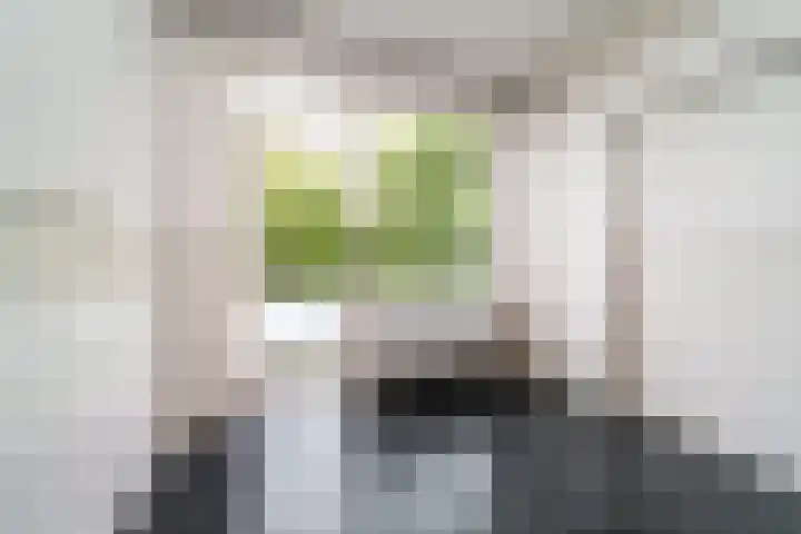 Keltenoord 24 Rotterdam thumbnail 12
