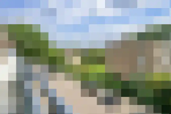 Keltenoord 24 Rotterdam thumbnail 21