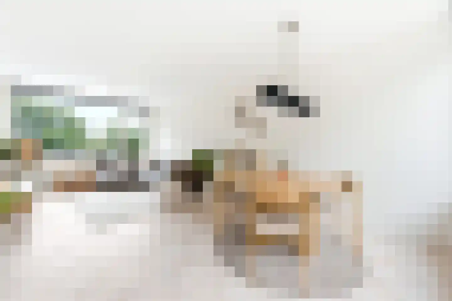 Keltenoord 42 Rotterdam thumbnail 8