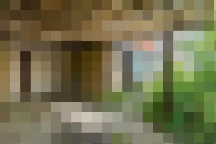 Keltenoord 50 Rotterdam thumbnail 4