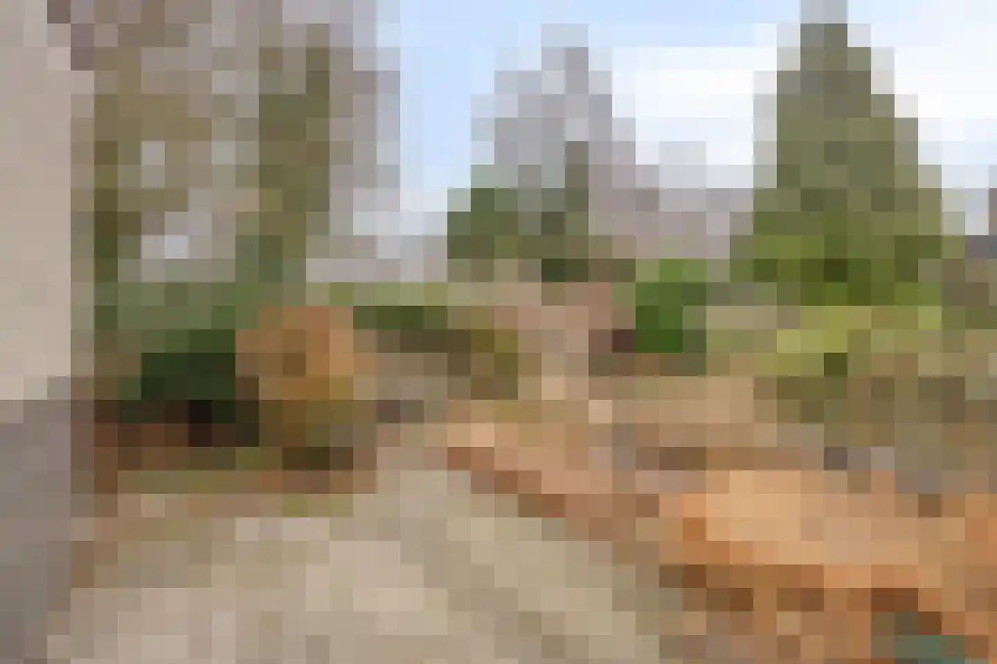 Keltenoord 74 Rotterdam thumbnail 47