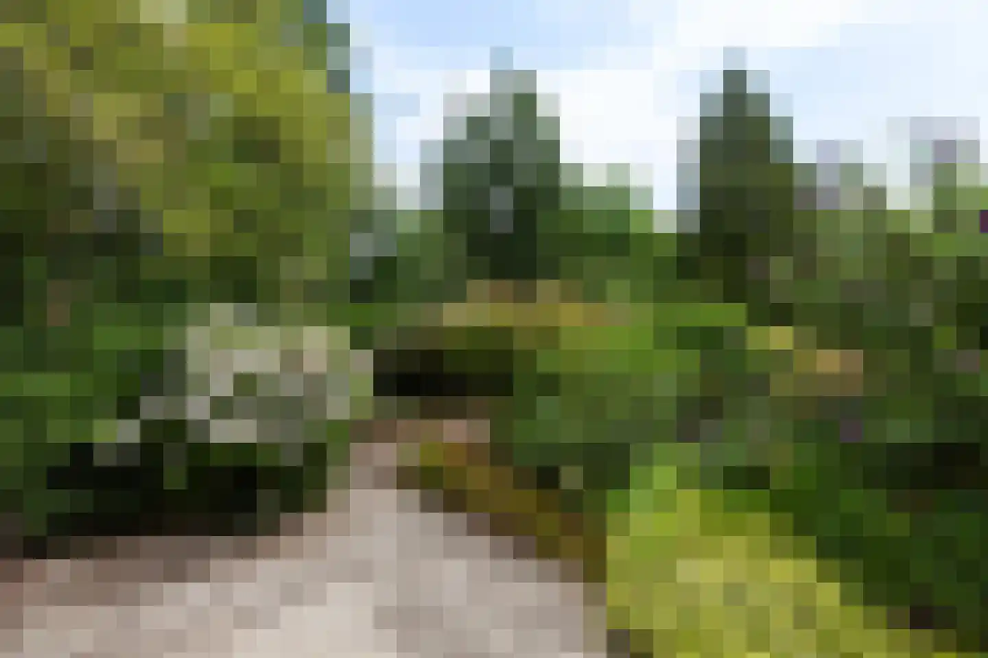 Keltenoord 74 Rotterdam thumbnail 57