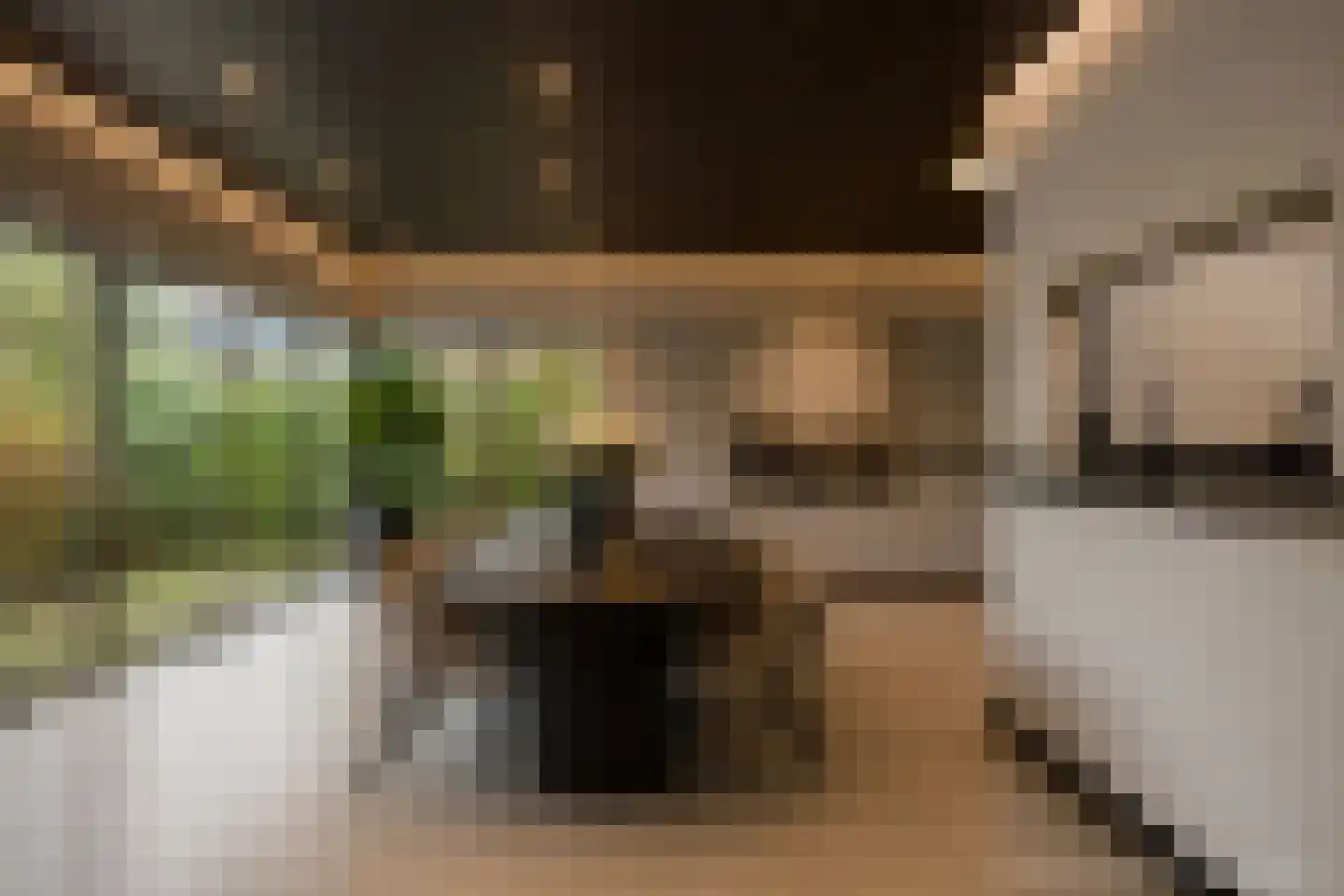 Keltenoord 74 Rotterdam thumbnail 8