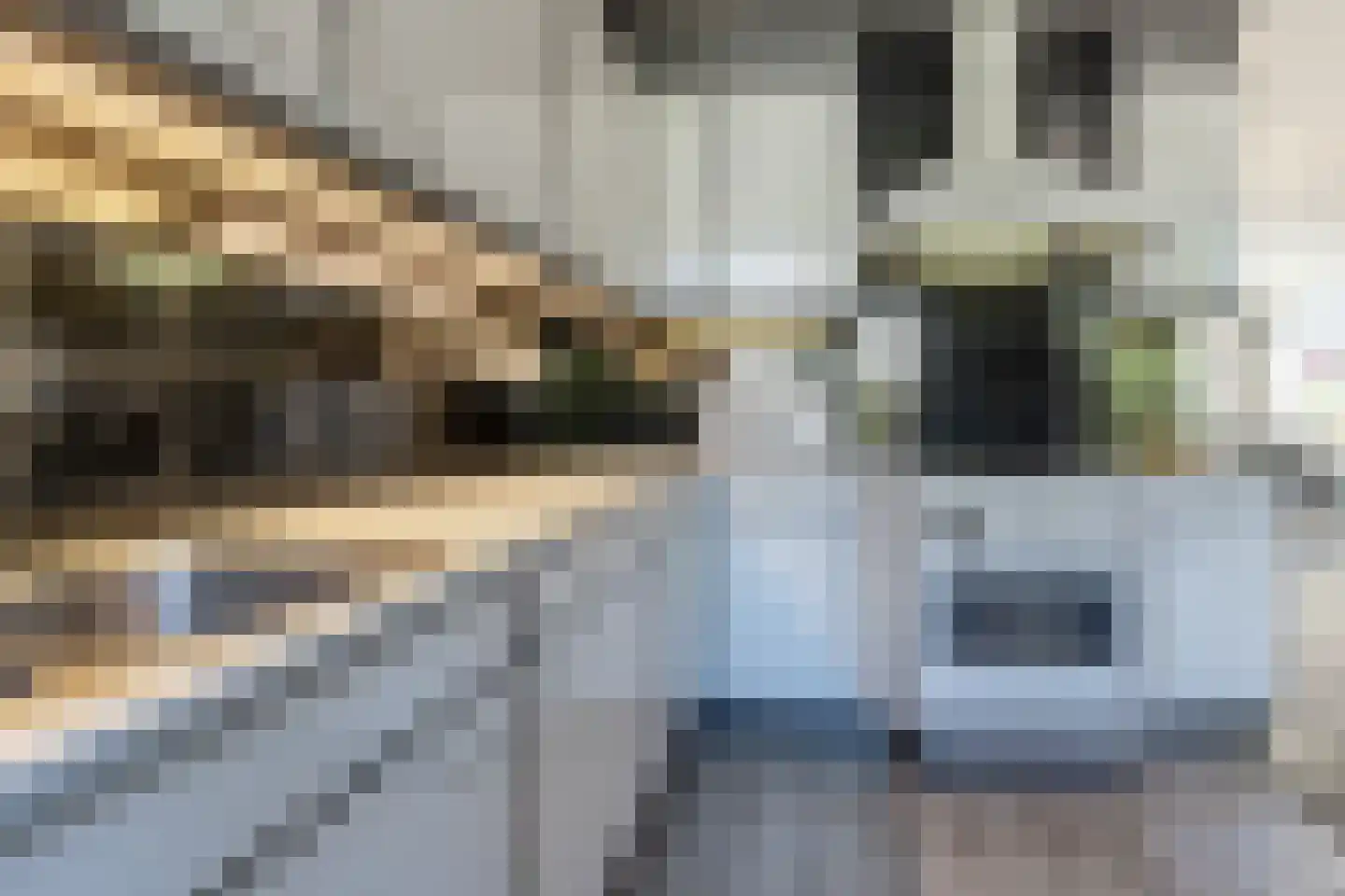 Keltenoord 83 Rotterdam thumbnail 12