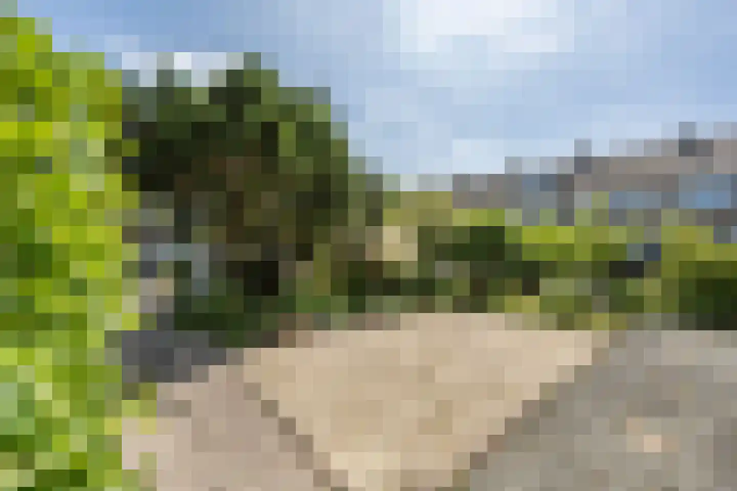 Keltenoord 83 Rotterdam thumbnail 35