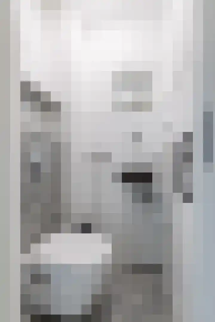 Keltenpoort 12 Houten thumbnail 15