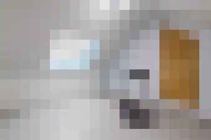 Keltenpoort 12 Houten thumbnail 30