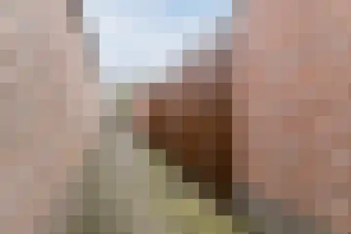 Keltenpoort 12 Houten thumbnail 43
