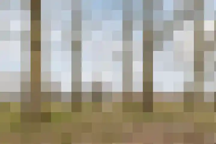 Keltenpoort 12 Houten thumbnail 49