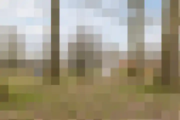 Keltenpoort 12 Houten thumbnail 50