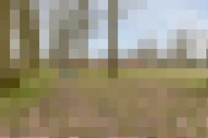 Keltenpoort 12 Houten thumbnail 51