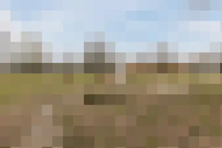 Keltenpoort 12 Houten thumbnail 52