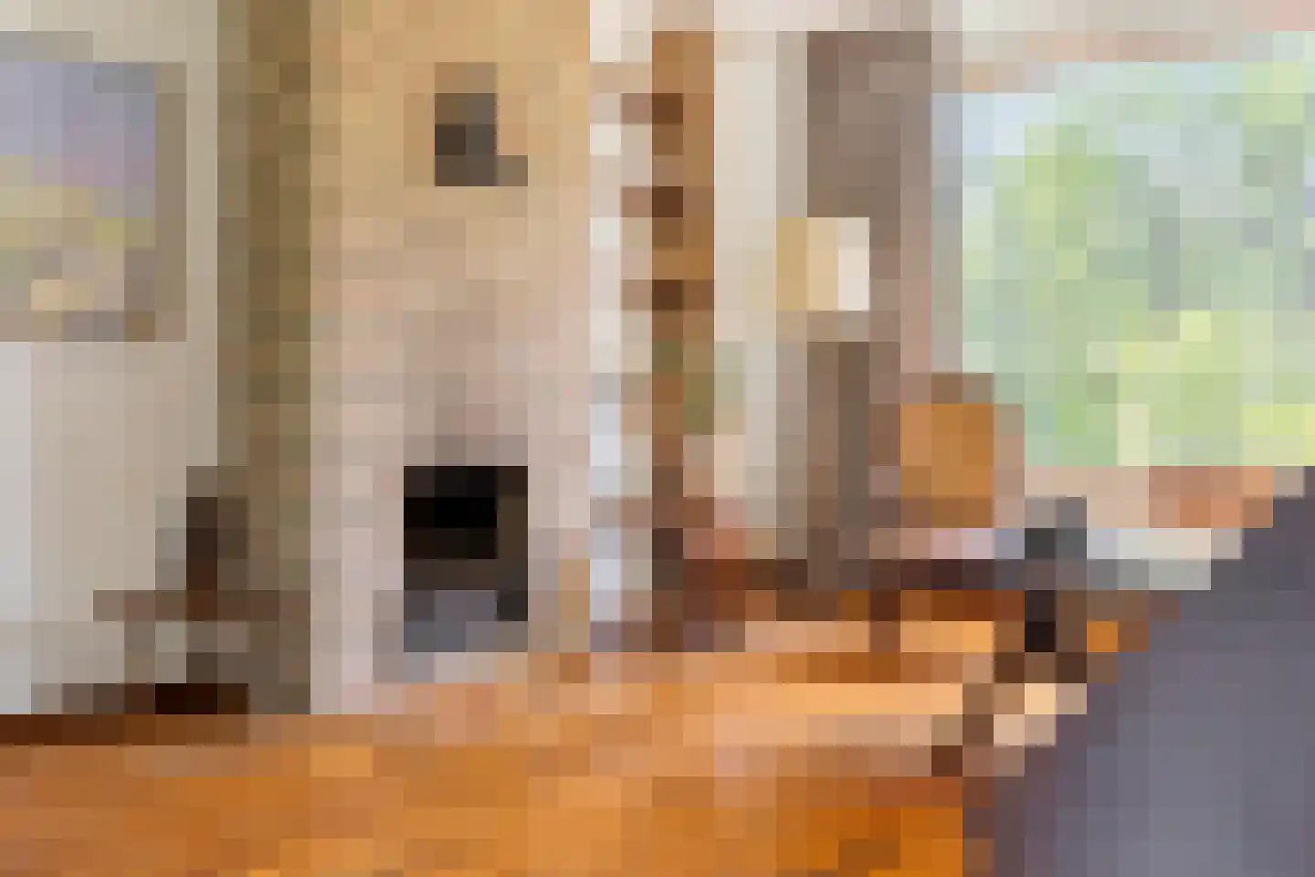 Keltenstraat 16 Tilburg thumbnail 10