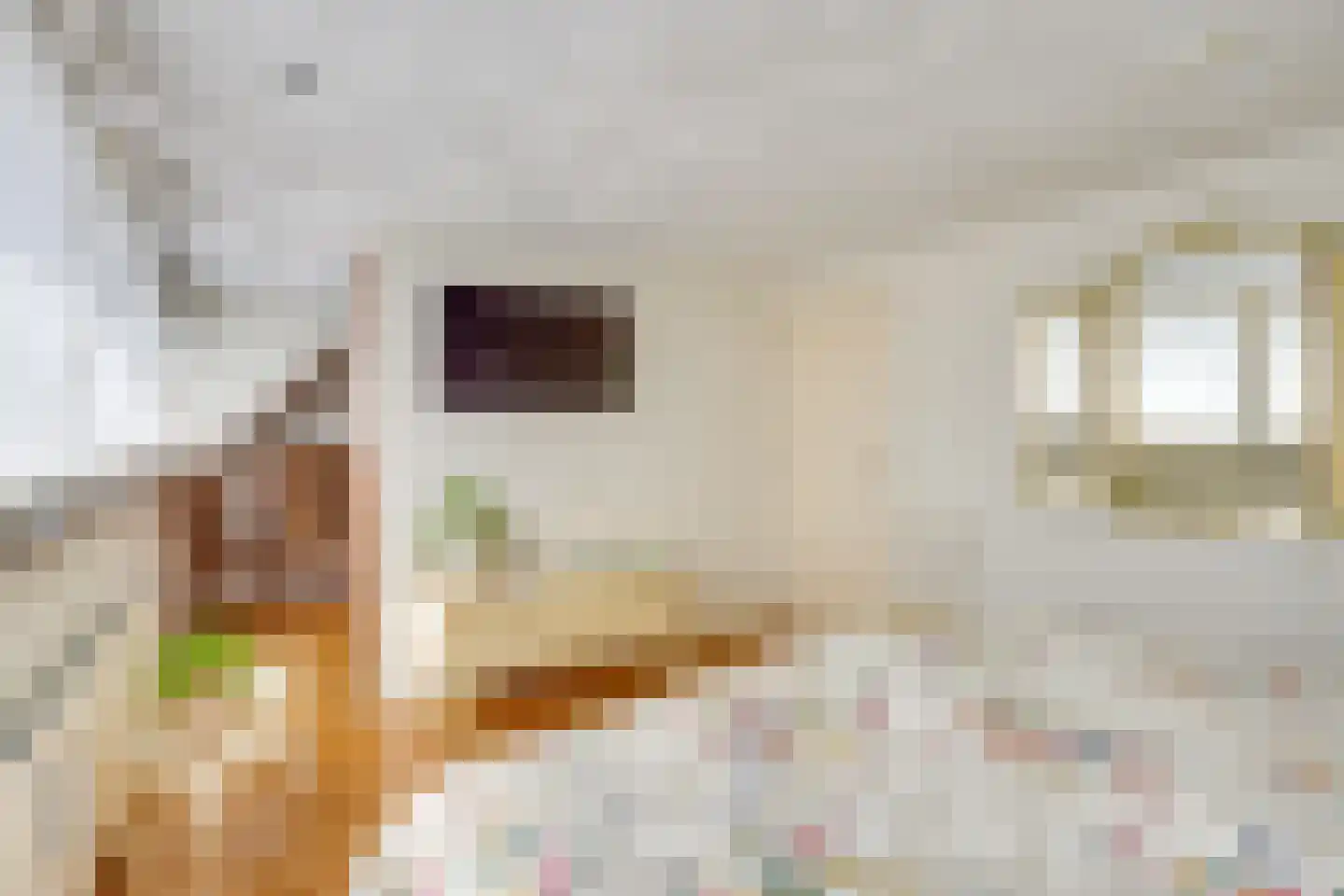 Keltenstraat 3 Deurne thumbnail 18