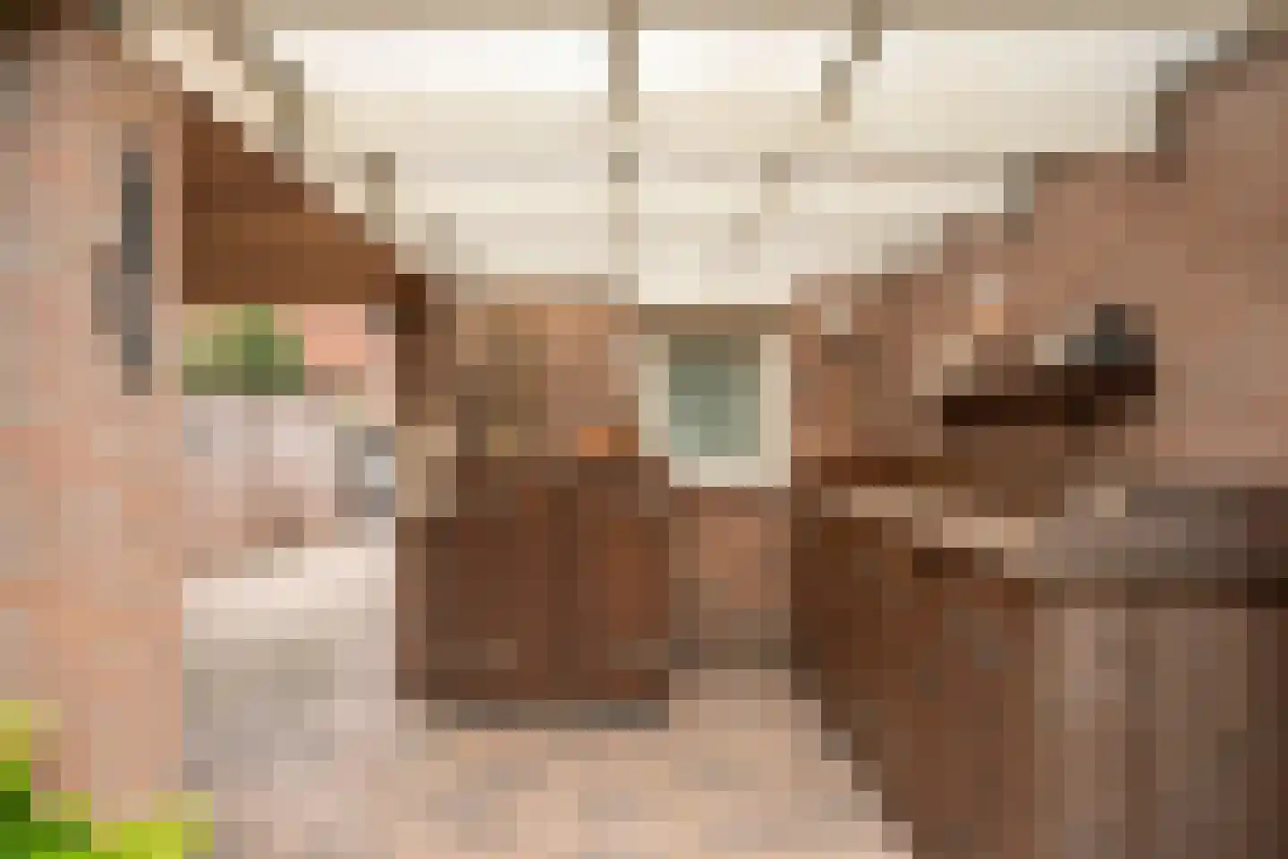 Keltenstraat 3 Deurne thumbnail 31