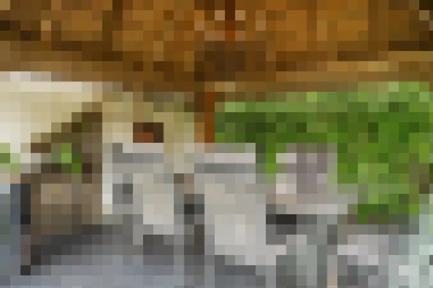 Keltenstraat 3 Deurne thumbnail 33