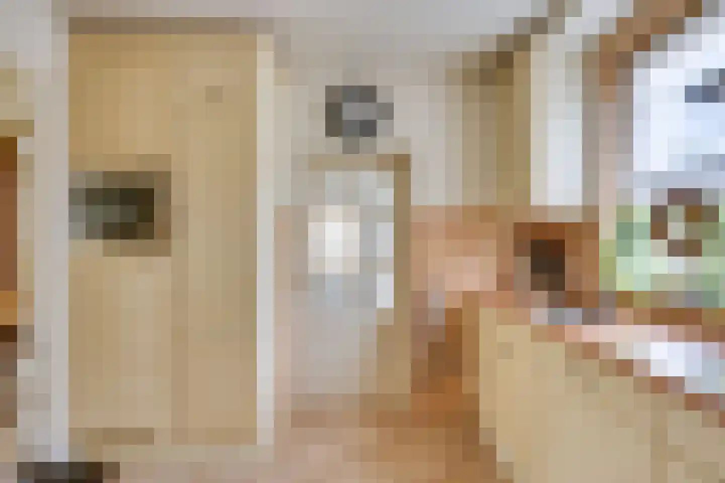 Keltenstraat 3 Deurne thumbnail 5