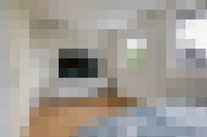 Keltenstraat 9 Heumen thumbnail 17