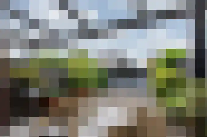 Keltenstraat 9 Heumen thumbnail 31