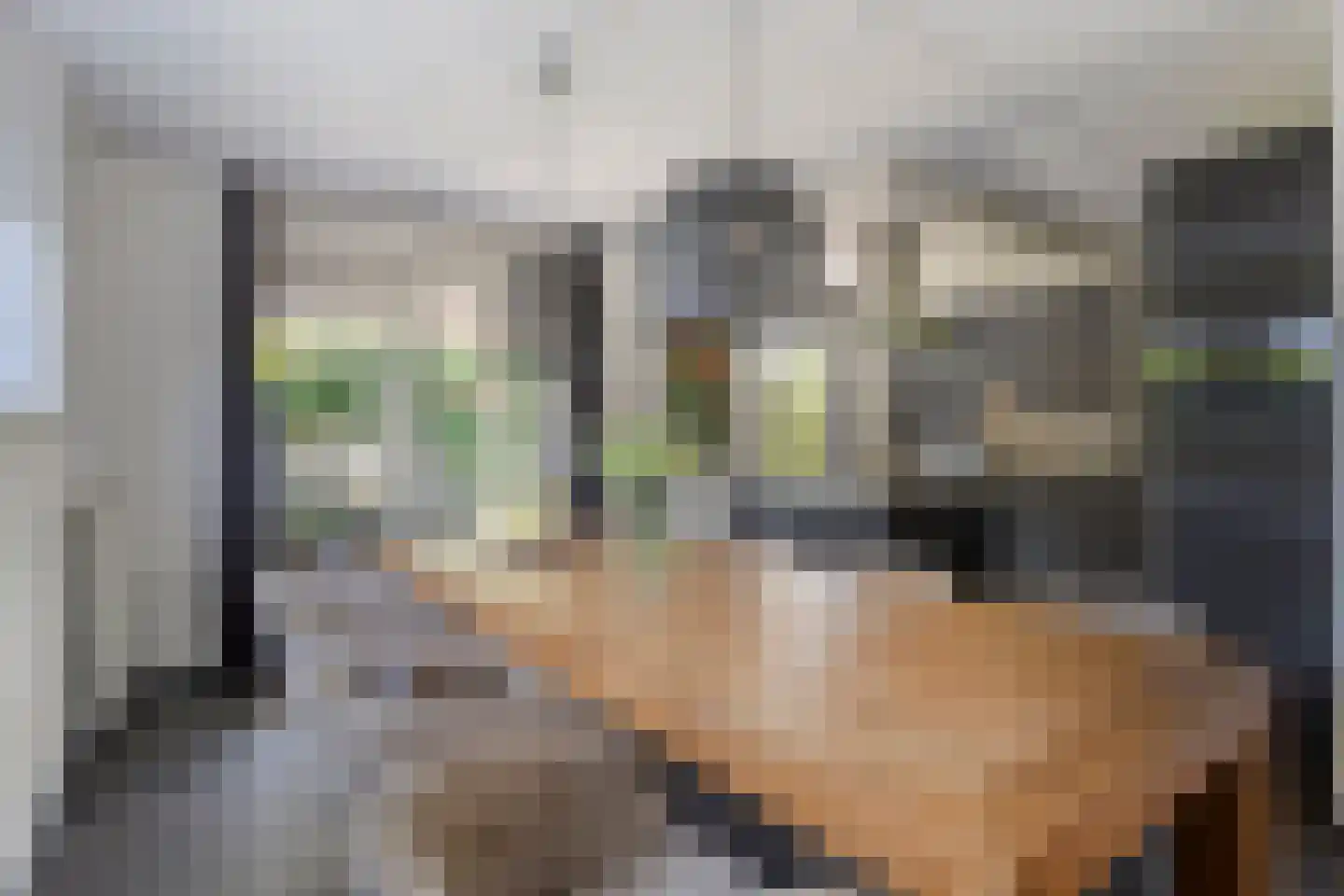 Keltenveld 41 Arnhem thumbnail 19