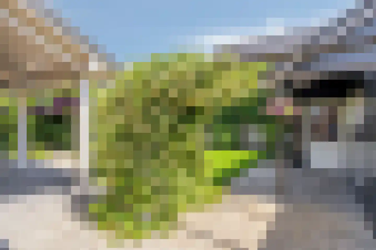 Keltenveld 41 Arnhem thumbnail 30