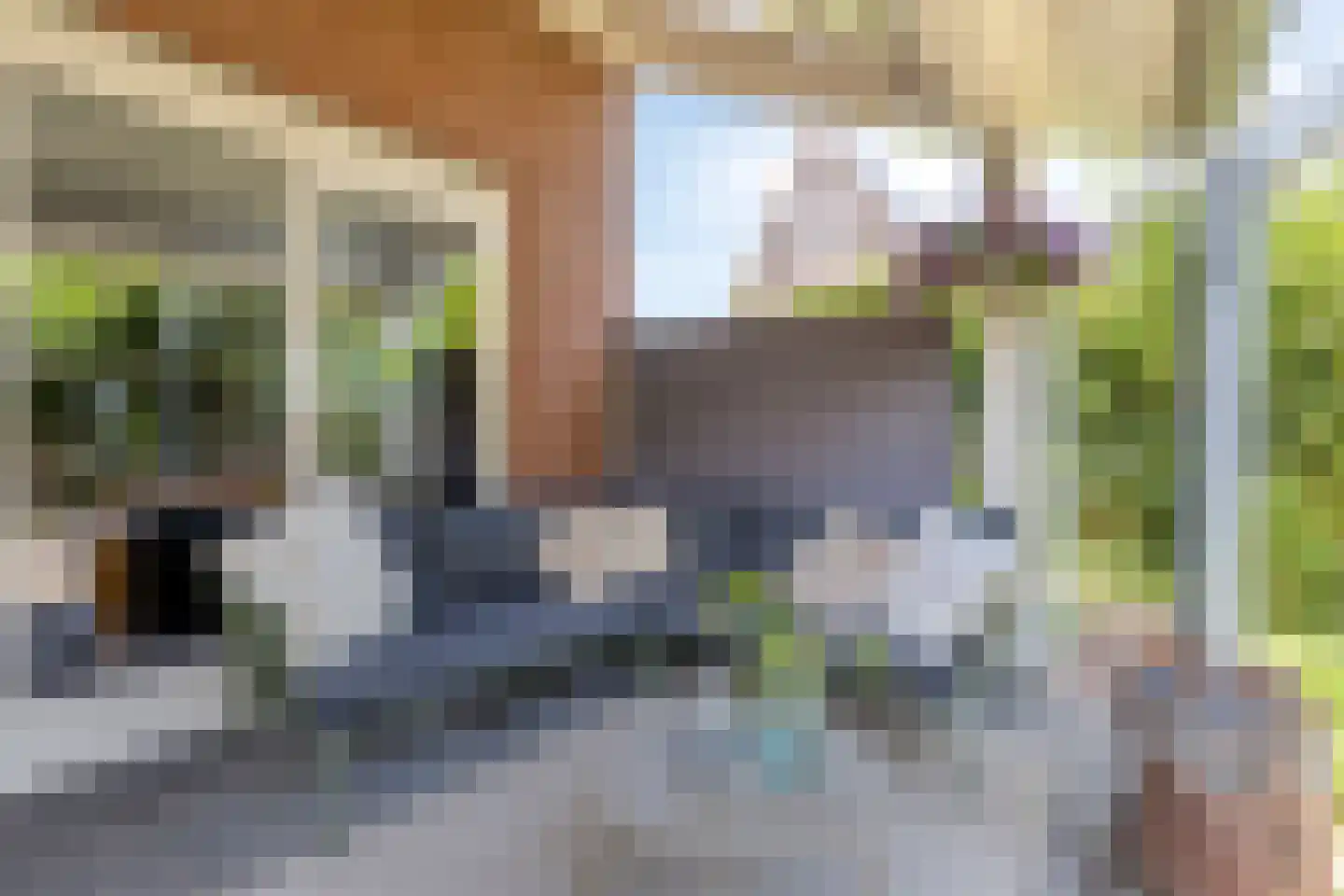 Keltenveld 41 Arnhem thumbnail 38