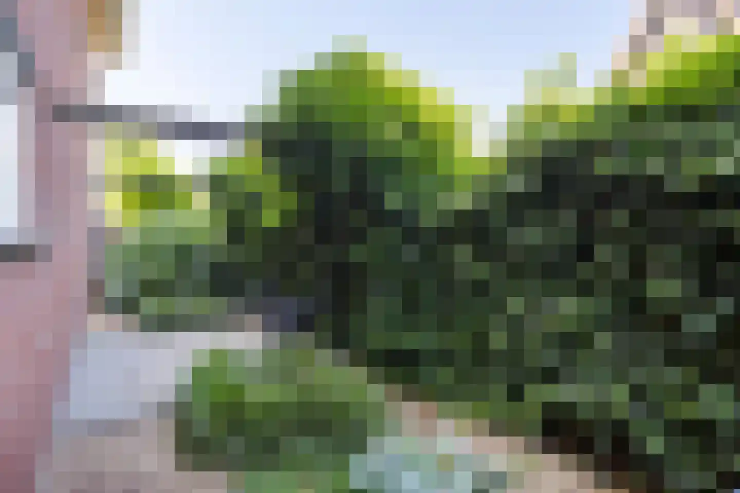 Keltenveld 41 Arnhem thumbnail 39